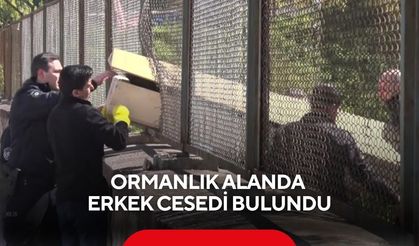Ormanlık alandan gelen ihbar ekipleri harekete geçirdi...