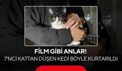 7’nci kattan düşen kediye mahalleli şemsiye açtı! O anlar kamerada...