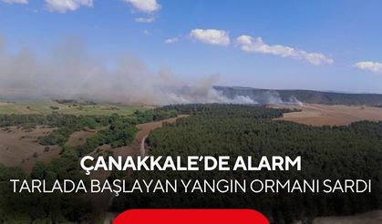 Çanakkale'de korkutan yangın! Tarım arazisinden ormanlık alana sıçradı...