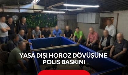 Çiftlikte yasa dışı horoz dövüşüne polis baskını!
