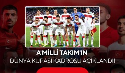 A Milli Takım'ın Dünya Kupası kadrosu açıklandı!