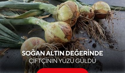 Kuru soğan çiftçinin yüzünü güldürdü ama çiftçi hala tedirgin...