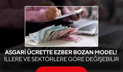Asgari Ücrette Ezber Bozan Model! İllere ve Sektörlere Göre Değişebilir