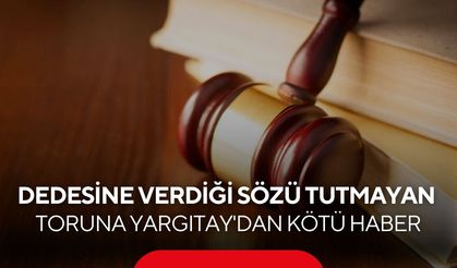 Yargıtay'dan emsal karar! 'Ölünceye kadar bakma' sözünü tutmayan torun arsayı kaybetti...
