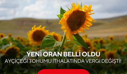 Ayçiçeği tohumu ithalatında vergi değişti! Yeni oran belli oldu