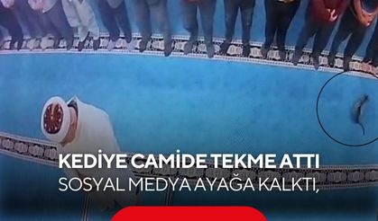 Camide kediye tekme attı! Görüntüler tepki çekti, Başsavcılık harekete geçti...