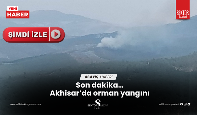 Son dakika… Akhisar’da orman yangını
