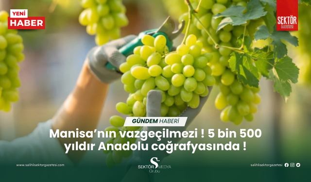 Manisa’nın vazgeçilmezi ! 5 bin 500 yıldır Anadolu coğrafyasında !