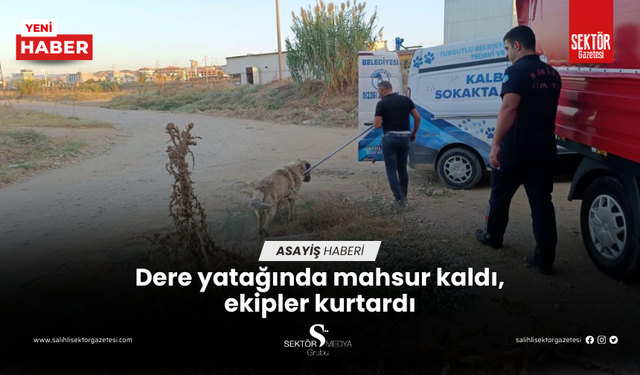 Dere yatağında mahsur kaldı, ekipler kurtardı