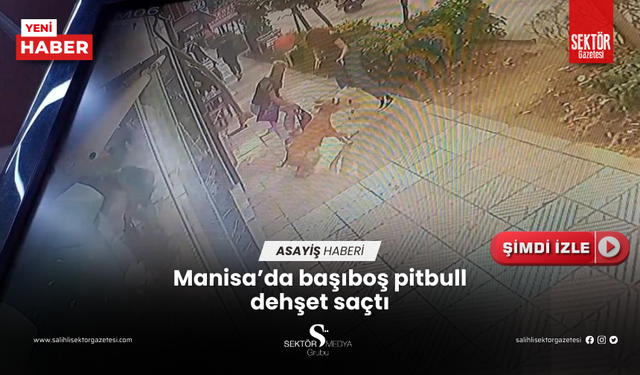 Manisa’da başıboş pitbull dehşet saçtı