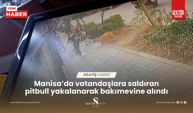 Manisa’da vatandaşlara saldıran pitbull yakalanarak bakımevine alındı