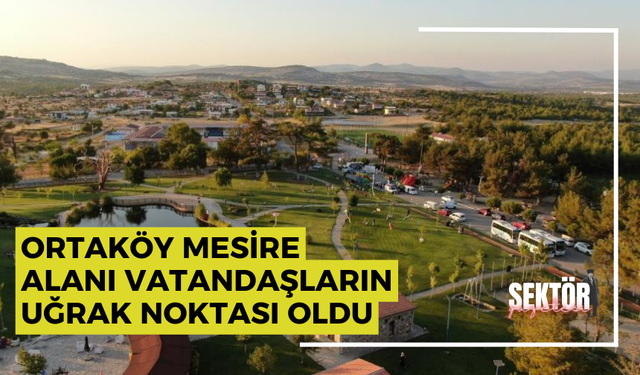 Ortaköy Mesire Alanı vatandaşların uğrak noktası oldu