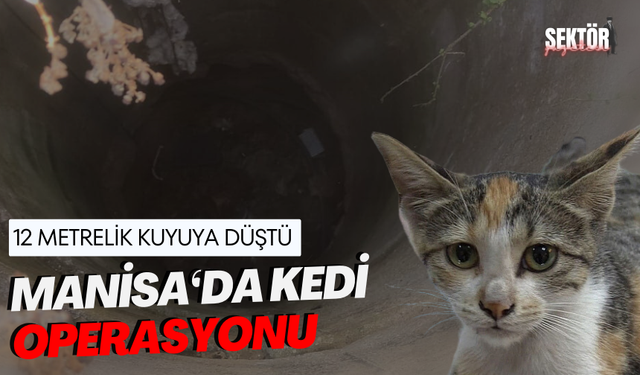 Kuyuya düşen kedi için seferber oldular