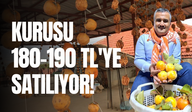 Cennet elması hasadına başlandı