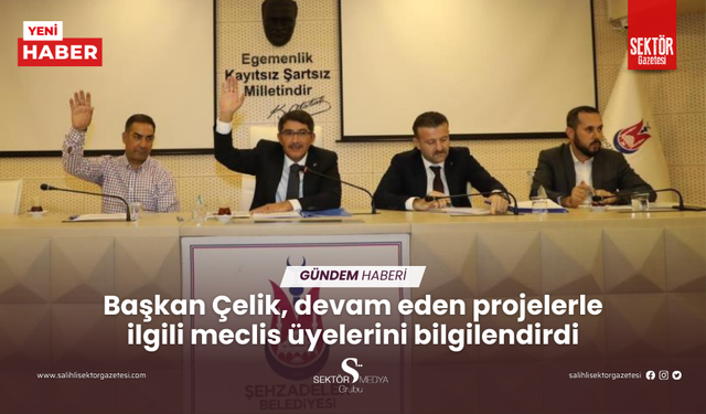 Başkan Çelik, devam eden projelerle ilgili meclis üyelerini bilgilendirdi