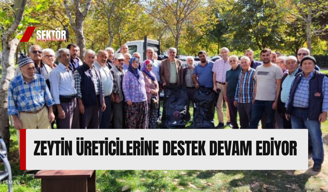 Zeytin üreticilerine destek devam ediyor