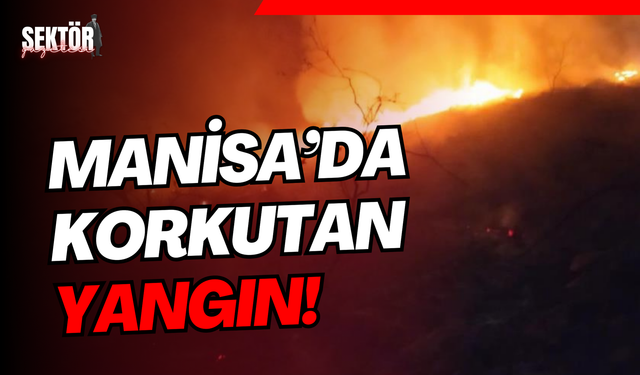 3 dönümlük alan zarar gördü