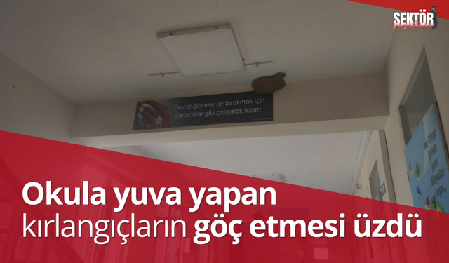 Okula yuva yapan kırlangıçların göç etmesi üzdü