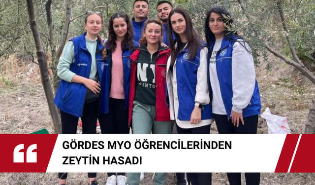 Gördes MYO öğrencilerinden zeytin hasadı