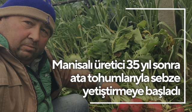 Manisalı üretici 35 yıl sonra ata tohumlarıyla sebze yetiştirmeye başladı