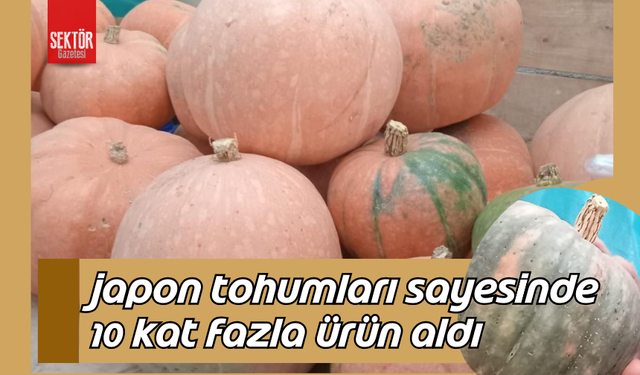 Japon tohumları sayesinde 10 kat fazla ürün aldı