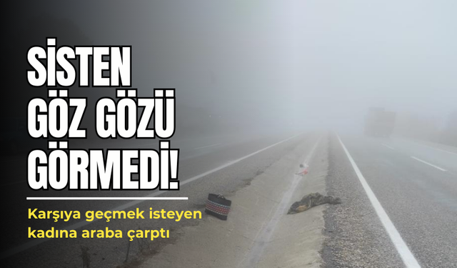 Sisten göz gözü görmedi! Karşıya geçmek isteyen kadına araba çarptı