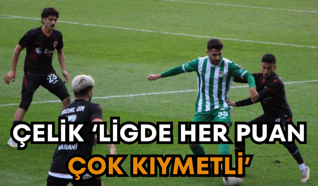 Turgutluspor, deplasmandan puanla döndü