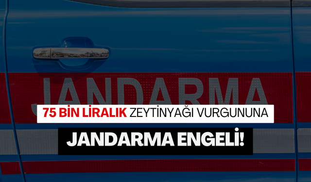 75 bin liralık zeytinyağı vurgununa jandarma engeli!