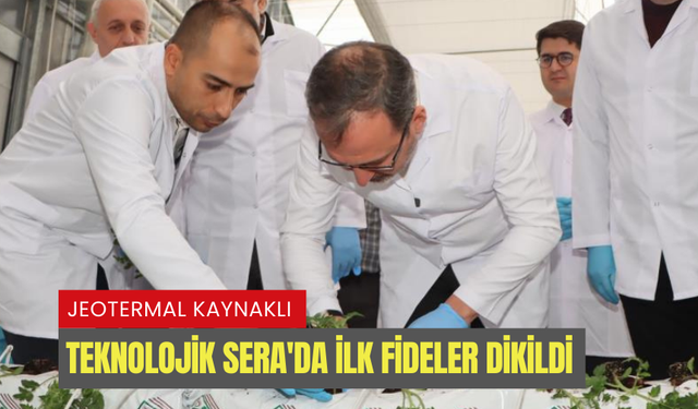 Jeotermal Kaynaklı Teknolojik Sera'da ilk fideler dikildi