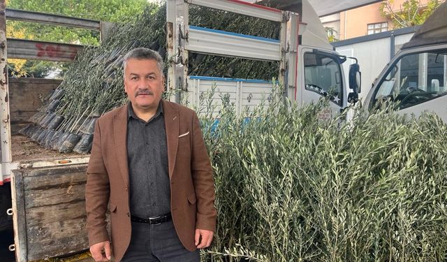 Buldan’da 17 bin fidan toprakla buluşacak