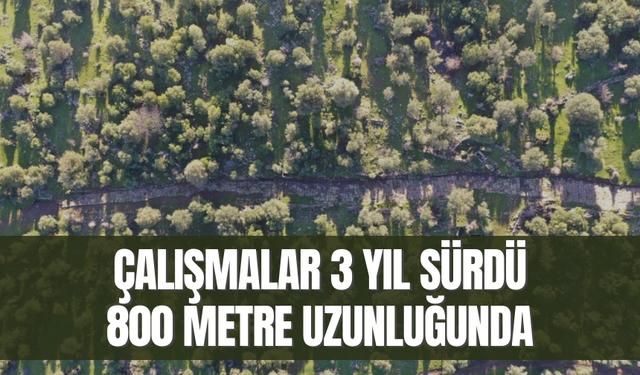 12 Aiol Kenti'nden bir tanesi | Manisa’da bulundu tam 1900 yıllık!