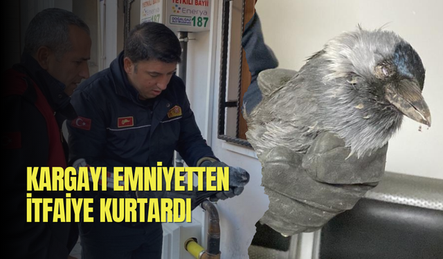 Kargayı emniyetten itfaiye kurtardı