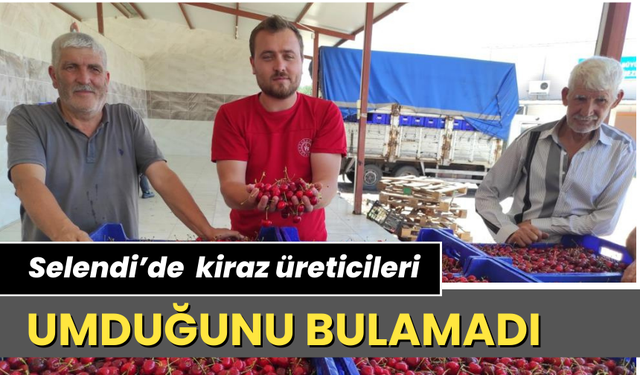 Selendi’de  kiraz üreticileri umduğunu bulamadı