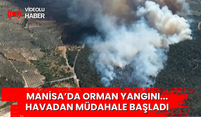 Manisa'da orman yangını