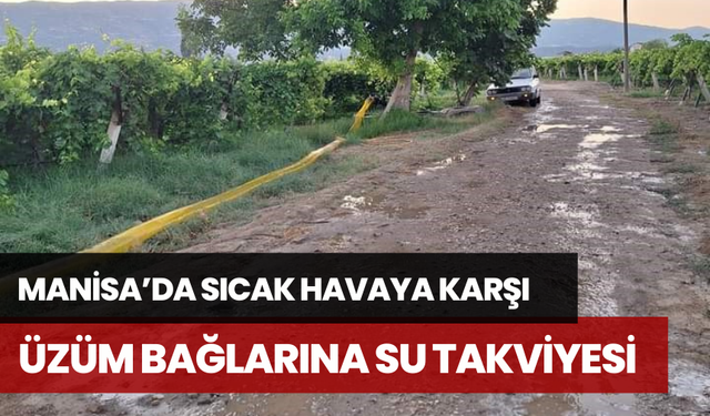 Manisa’da sıcak havaya karşı üzüm bağlarına su takviyesi