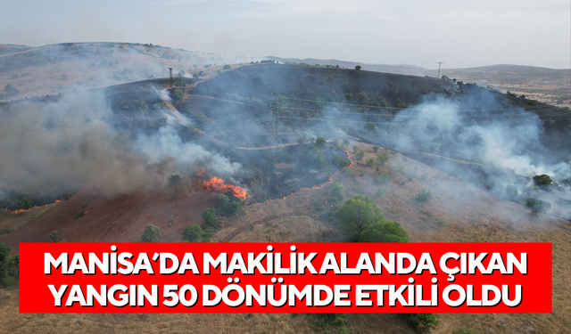 Manisa’da makilik alanda çıkan yangın 50 dönümde etkili oldu