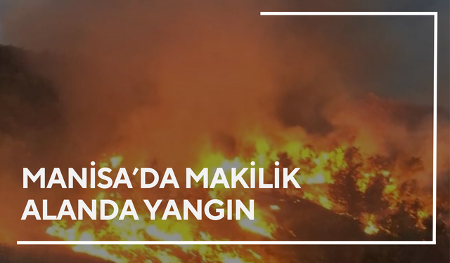 Manisa’da makilik alanda yangın