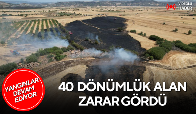 40 dönümlük alan zarar gördü