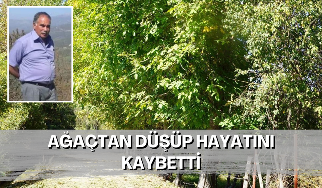 Ağaçtan düşen eski muhtar hayatını kaybetti