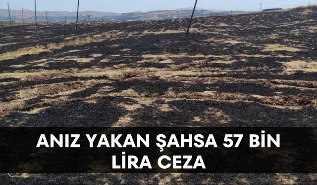 Anız yakan şahsa 57 bin lira ceza