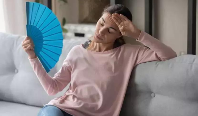 Son yılların en sıcak zamanlarında klimasız kalınması ve günlük yaşamın olumsuz etkilenmesi
