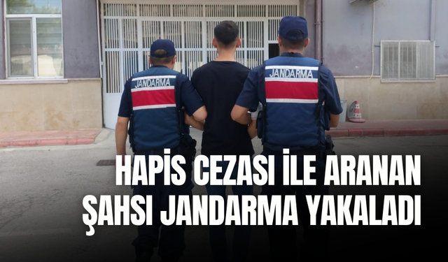 Hapis cezası ile aranan şahsı jandarma yakaladı