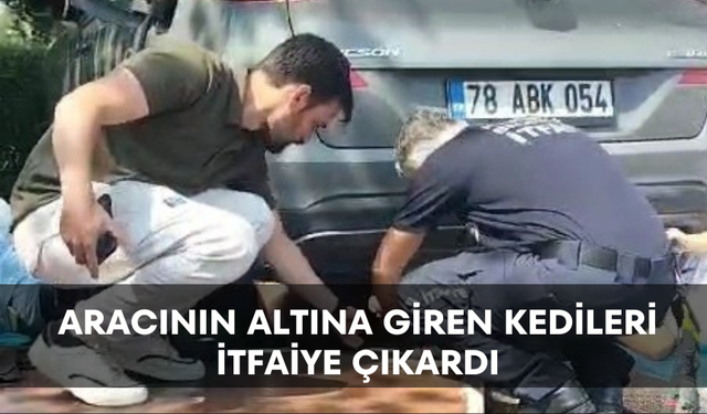 Aracının altına giren kedileri itfaiye çıkardı