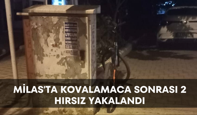 Milas'ta kovalamaca sonrası 2 hırsız yakalandı