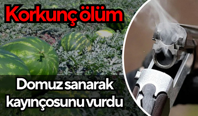 Domuz sanarak kayınçosunu vurdu