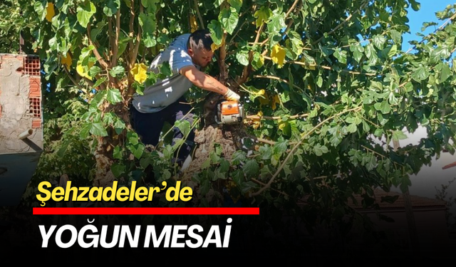 Şehzadeler’de yoğun mesai