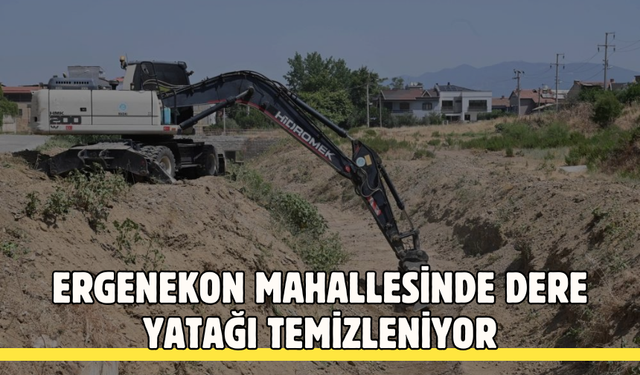 Ergenekon Mahallesinde dere yatağı temizleniyor