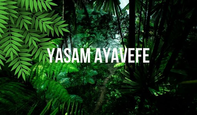 Yaşam Ayavefe, Küresel Isınmaya Karşı Ağaçlandırma Kampanyaları Başlatıyor