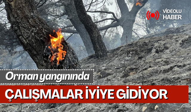 Manisa'daki orman yangınında çalışmalar iyiye gidiyor