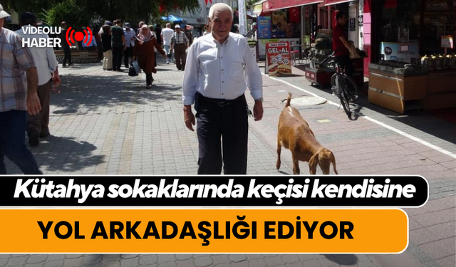 Kütahya sokaklarında keçisi kendisine yol arkadaşlığı ediyor